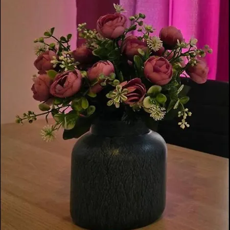 Daire Aurora, Liguria Rapallo