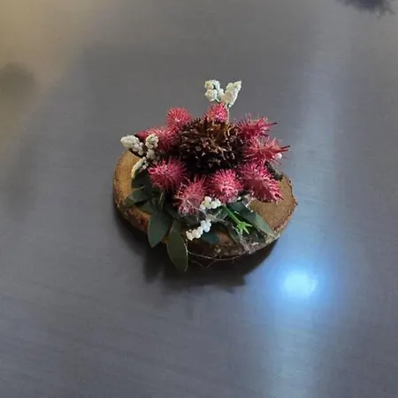 Daire Aurora, Liguria Rapallo