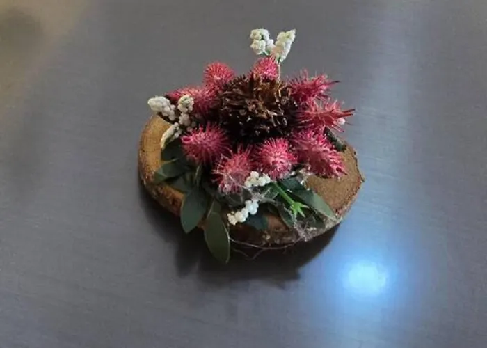 Apartman Aurora, Liguria Rapallo